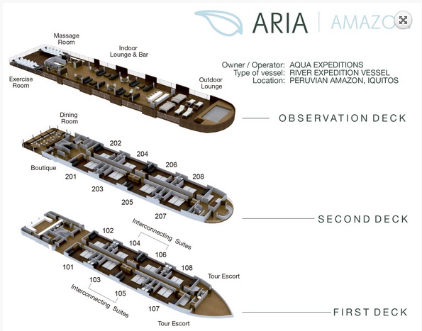 Aria Amazon - All Decks
